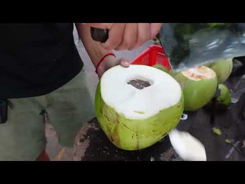 Coconut trees need to be applied with complete fertilizers, with the highest amount of potassium.