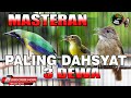 MASTERAN PALING DAHSYAT UNTUK SEMUA JENIS BURUNG CUCAK CUNGKOK VS KAPAS TEMBAK VS KOLIBRI MANGGAR