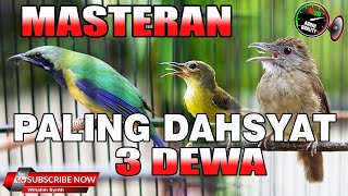 Download lagu MASTERAN PALING DAHSYAT UNTUK SEMUA JENIS BURUNG - CUCAK CUNGKOK VS KAPAS TEMBAK VS KOLIBRI MANGGAR mp3