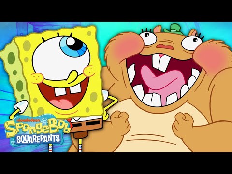 スポンジボブの新しい親友を満たす?| 抱擁E.抱擁｜スポンジボブ (Meet SpongeBob's New Best Friend! ? | Cuddle E. Hugs | SpongeBob)