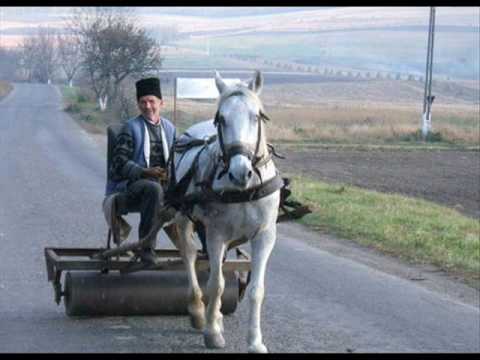 Braca bez Gaca - Nema Leba bez Motike