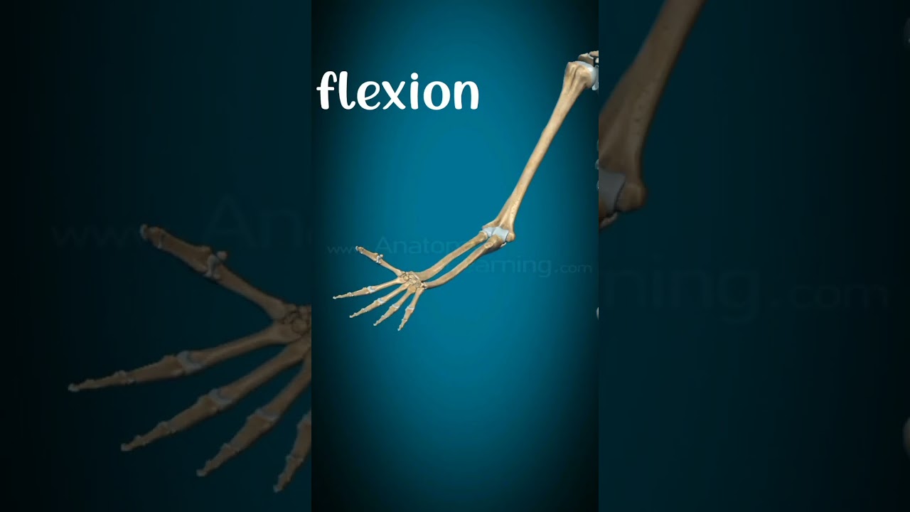flexion and extension of elbow joint#physiorehab#drsamia
