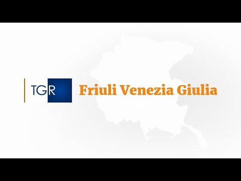 RAI3 TGR FRIULI V.G. - Infortuni sul lavoro in aumento in regione - (01-10-2022)