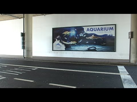 Aena no respeta la arquitectura lanzaroteña