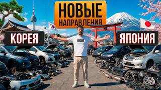 Этого давно ждали: запускаем поставки из Японии и Кореи