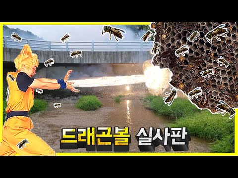 아이콘