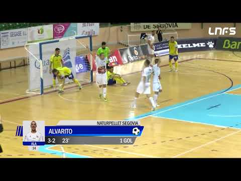 Naturpellet Segovia - Gran Canaria FS Jornada 9