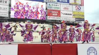 踊り陣 叶和　2026よさこい祭り全国大会 東洋電化中央公園