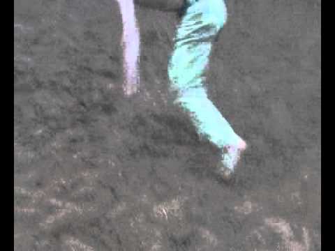 nires dingo turbatu la budapesta merita vazut