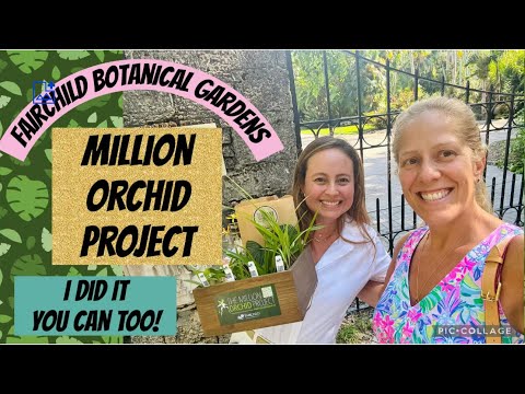 Fairchild’s Million Orchid Projects! New Orchids! Save the orchids!! 