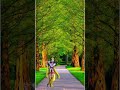 Dev Maro Dwarka Valo Sona Ni Nagri Valo 4k Full Screen Whatsapp Status