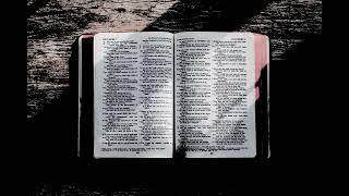 Drakeford - Creation for Salvation (cover by Polina Skok)