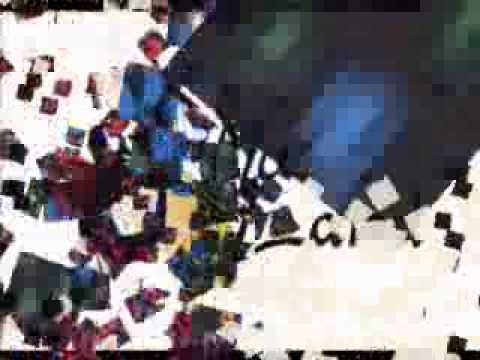 Augusto Martelli - Free Samba