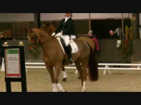 Fidertanz x Alabaster - 4j. Oldenburger Stute