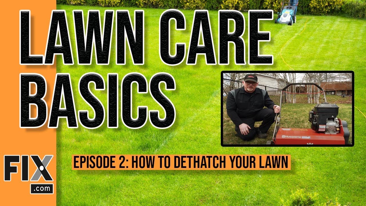 Lawn Care Basics: How to Dethatch and Aerate