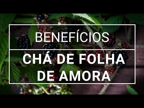 Conheça os benefícios do chá de folha de amora