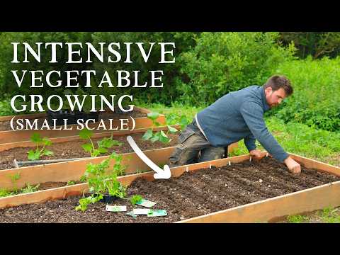 Crop Layout & First Plantings of The Micro Self-Sufficiency Garden