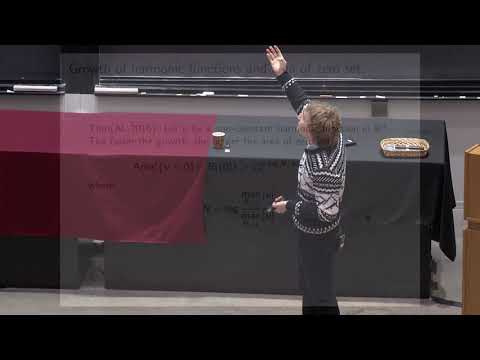 Aleksandr Logunov: New results on Landis conjecture and Yau's conjecture.