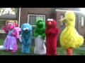 Sesame Street Birthday Party Ideas 866 434 4101