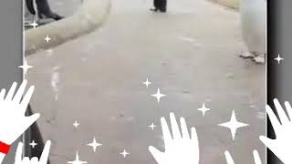 Смешное видео про пятницу до слёз!!!)))😂😂😂😂