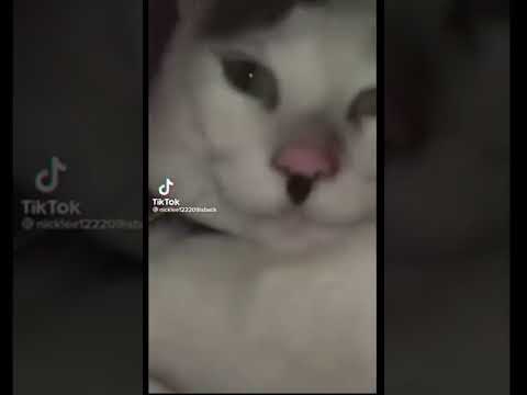 Adolf Kitler (song: Erika)