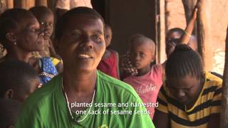 Disaster response and Drought preparedness in Tanzania