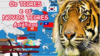 Os Tigres e os Novos Tigres Asiáticos - 9° Ano