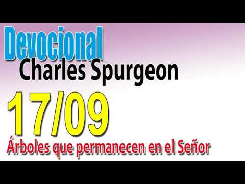 Devocional Charles Spurgeon 17/09 - Árboles que permanecen en el Señor
