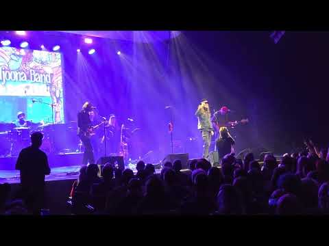 Juokse villi lapsi - Pelle Miljoona Band live at Pelle Miljoona 70 vuotta juhlakonsertti 