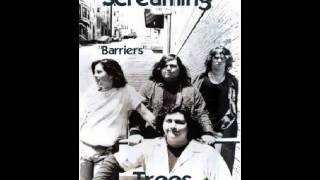 Screaming Trees - Barriers - live audio 1987 Jamaica Plain MA 9/16