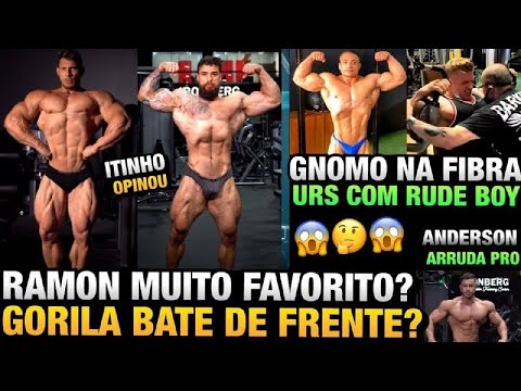 GORILA BATE DE FRENTE COM RAMON DINO ? ITINHO OPINA - GNOMO INCRIVEL + URS COM RUDE BOY E JOHANN