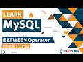 MySQL BETWEEN NOT BETWEEN Operator Tutorial In Hindi Urdu