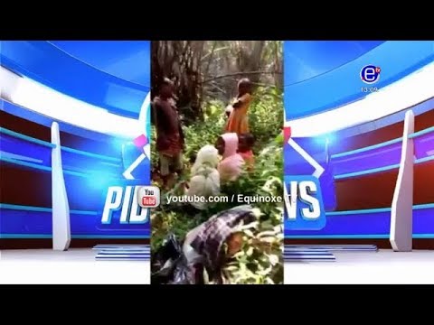 PIDGIN NEWS FRIDAY FEBRUARY 1st 2019 - EQUINOXE TV