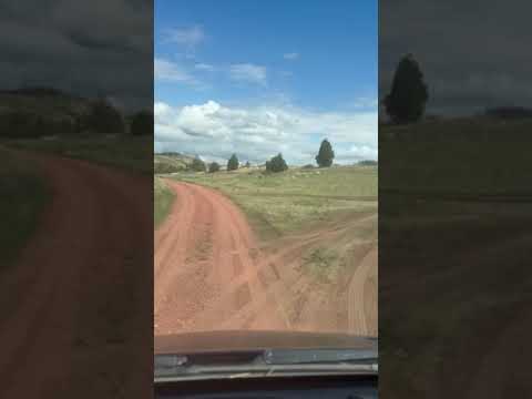 The road in
