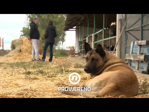 Poljoprivrednik pobijedio državu na sudu: "Vjerovao sam da mora doći do istine" | Provjereno