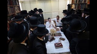 מיוחד לחג השבועות: בחורי חסידות פיטסבורג משוררים לפני רבינו מרן שליט"א השיר "והאר עינינו"
