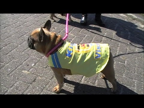 CAMBUUR d1 ~ GVAV d1 6apr2013 (André Jansen)
