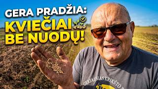 Žemas startas su žieminiais kviečiais!