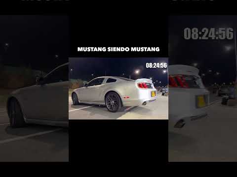 MUSTANG SIENDO MUSTANG #ford #mustang #clip #carculture