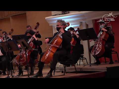 Carl Ditters von Dittersdorf - Flute Concerto in e minor / Ion Bogdan Stefanescu