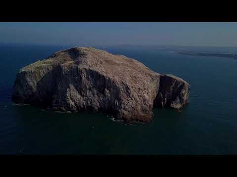 Bass Rock from Drone
