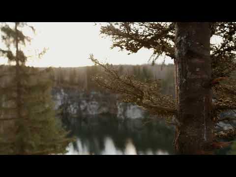 Iosif, Tabita si Gabriel Tofan- N-am pe nimenea sub cer..