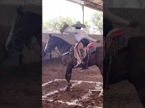 Puros Piales 🤠🐴🔥🌵