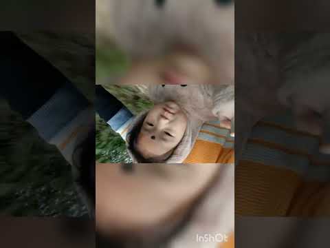 #humlok# mamy papa# ka ghrt ja raha hai#...?