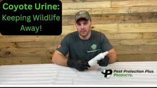 Coyote Urine-How To Use as a Humane Deterrent For Wildlife