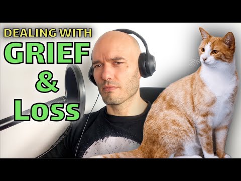 My cat is dying. Coping with death in a positive way