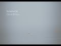 SymphoCat - Ghost Silence