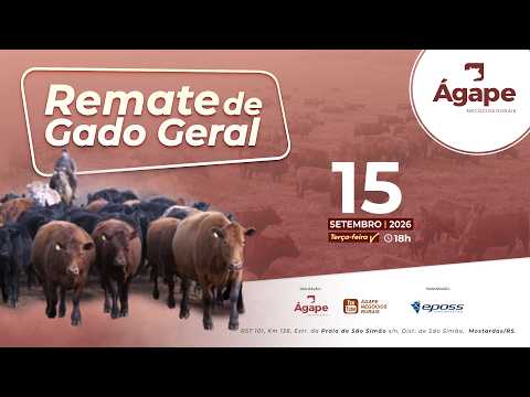 Remate de Gado Geral - 15 de Setembro - Mostardas/RS