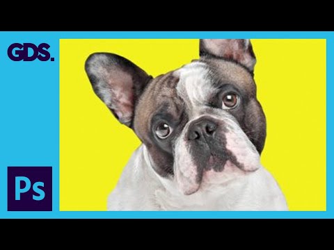 Tracing a hand drawn sketch Converting to vector artwork Ep15 19 Adobe Illustrator for Beginners