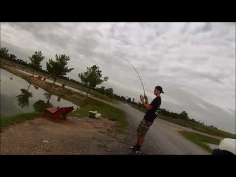 Hatchery road..... 64.5 inch carp